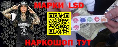 спиды Краснодар