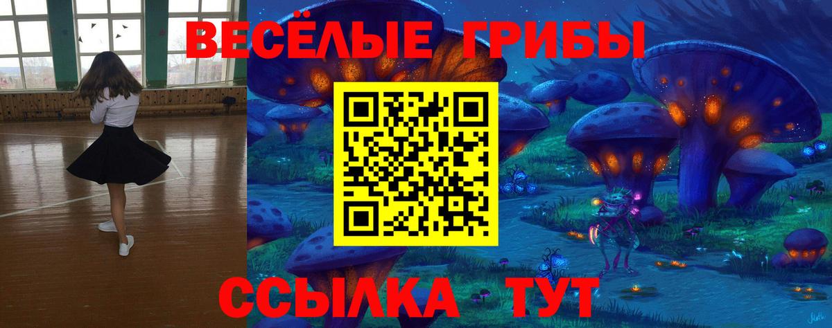 Иркутск  Псилоцибиновые грибы мухоморы  Псилоцибиновые грибы MAGIC MUSHROOMS  Вход с VPN 